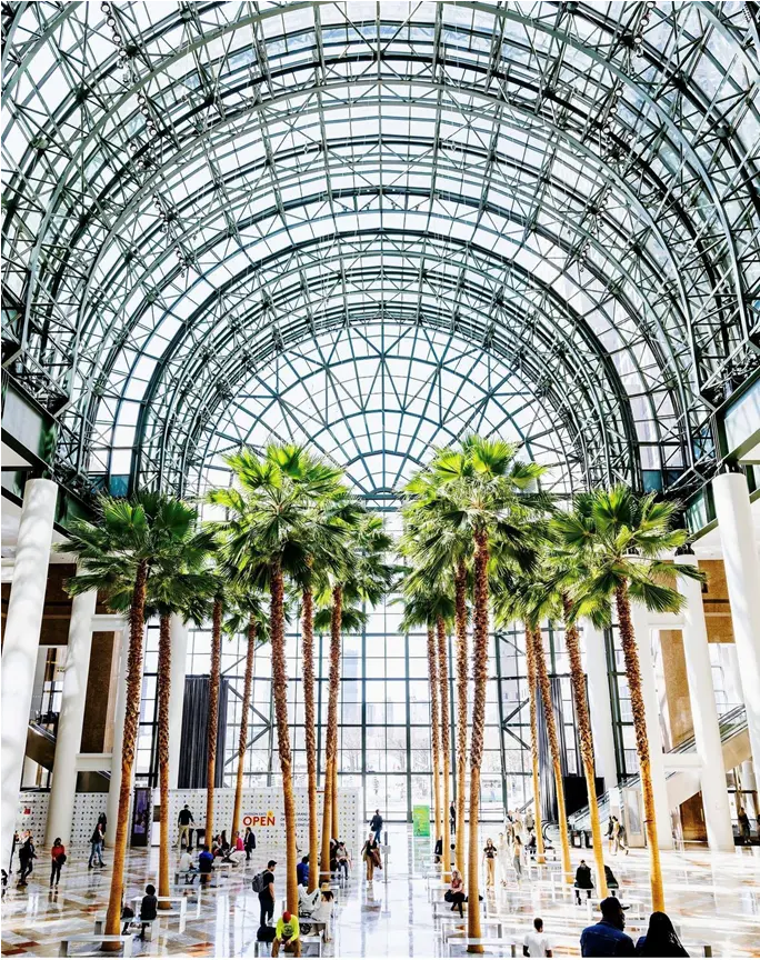 The palm trees in the Winter Garden of the Brookfield Place