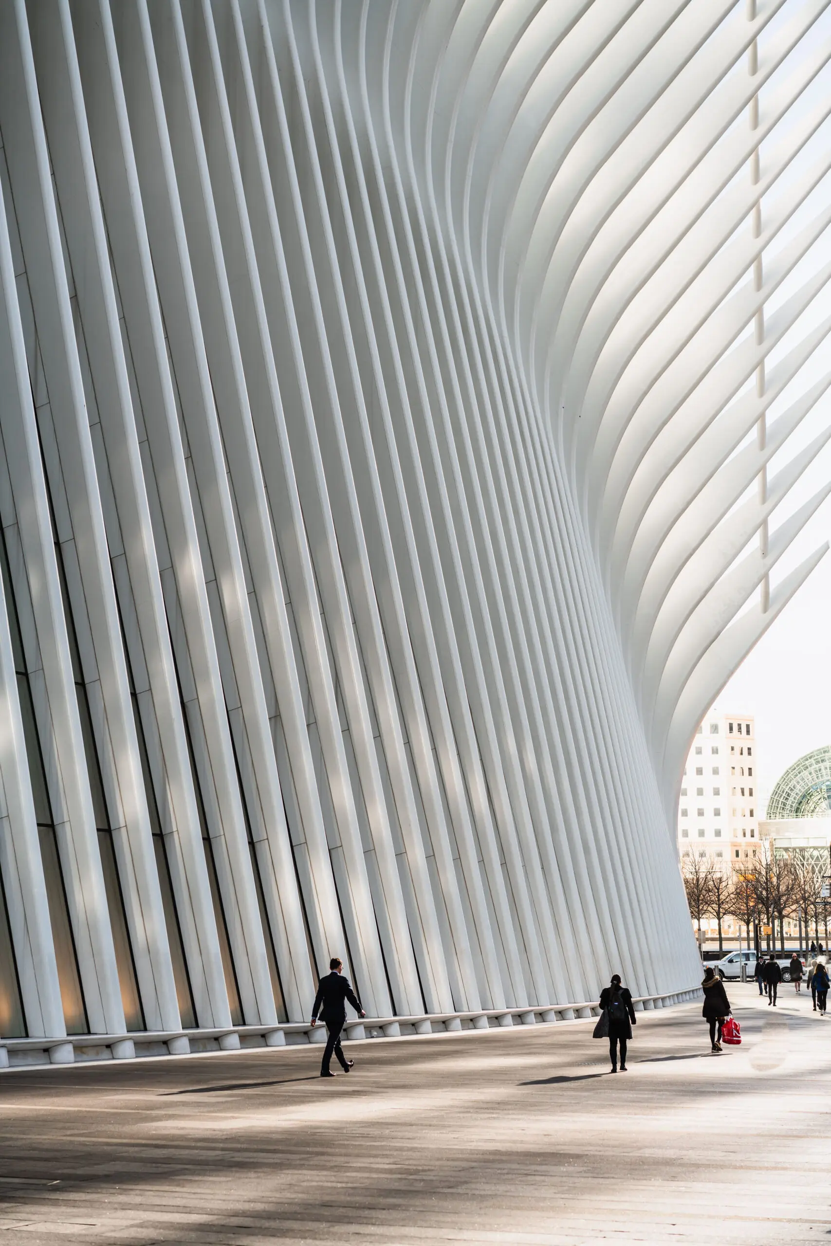 Architectural view of the Oculus at the World Trade Center.